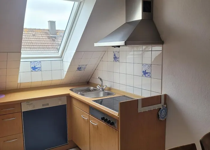 Schwalbe * 费马恩